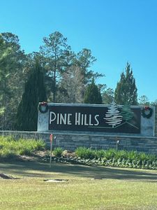 Pine Hills by D.R. Horton in Summerville - photo 3 3