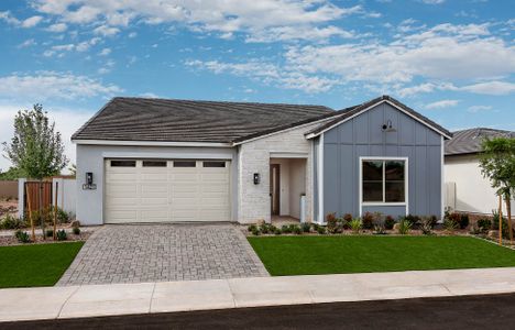 Treeland by Tri Pointe Homes in Chandler - photo 0 0