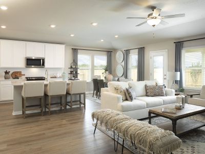 Butler Farms - Boulevard Collection by Meritage Homes in Liberty Hill - photo 14 14