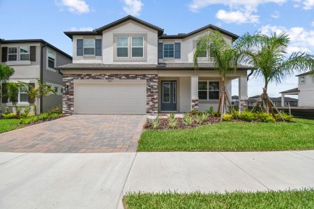 Hawthorne Ranch by M/I Homes in Lakeland - photo 7 7
