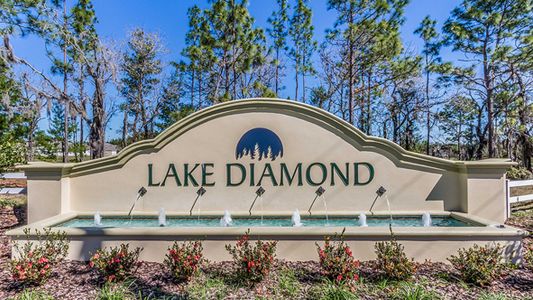 Lake Diamond by D.R. Horton in Ocala - photo 5 5