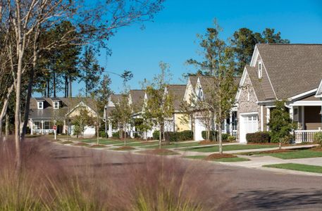 Cresswind Charleston neighborhood streetscape.