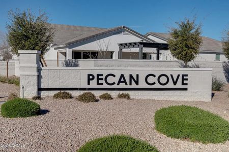 Pecan Cove by Newport Homes in San Tan Valley - photo 2 2