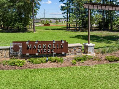 Magnolia Ridge by M/I Homes in Magnolia - photo 44 44