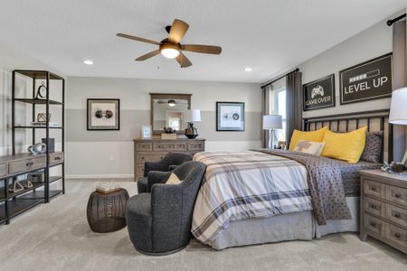 Talichet by Dream Finders Homes in Howey-in-the-Hills - photo 41 41
