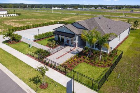 Hilltop Point by M/I Homes in Dade City - photo 3 3