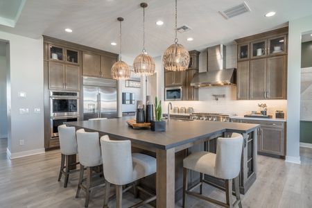 Legado Summit Collection by Taylor Morrison in Queen Creek - photo 67 67