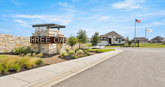 Village at Three Oaks by Chesmar Homes in Seguin - photo 47 47