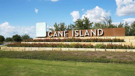 Cane Island 50' by Perry Homes in Katy - photo 1 1