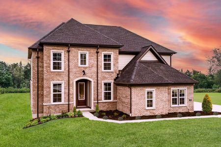 Woodbury by Fischer Homes in Canton - photo 5 5
