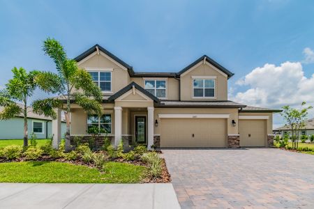 Oakstead Estates by M/I Homes in Land O' Lakes - photo 9 9