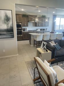 Highland Sage at Alamar by Brookfield Residential in Avondale - photo 49 49