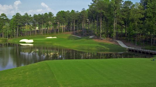 The Reserve At Governors Towne Club by Patrick Malloy Communities in Acworth - photo 14