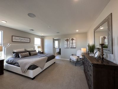 Northern Farms by Landsea Homes in Waddell - photo 17 17
