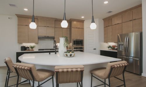 Yanni Garden by Brightland Homes in Pearland - photo 3 3