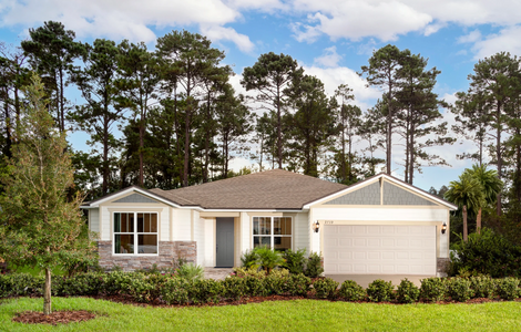Double Branch by Pulte Homes in Middleburg - photo 10 10
