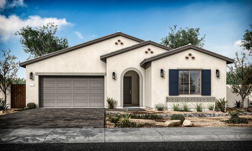 Treeland by Tri Pointe Homes in Chandler - photo 3 3
