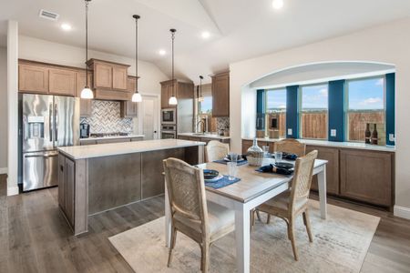 Arcadia Trails by Bloomfield Homes in Balch Springs - photo 8 8