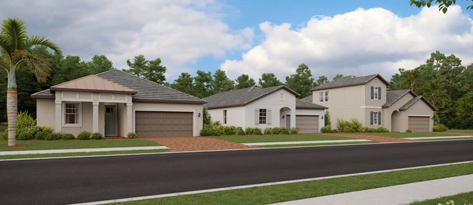 Angeline: Manors by Lennar in Land O' Lakes - photo