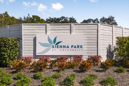 Sienna Park at University by M/I Homes in Sarasota - photo 3 3
