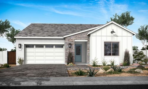 Treeland by Tri Pointe Homes in Chandler - photo