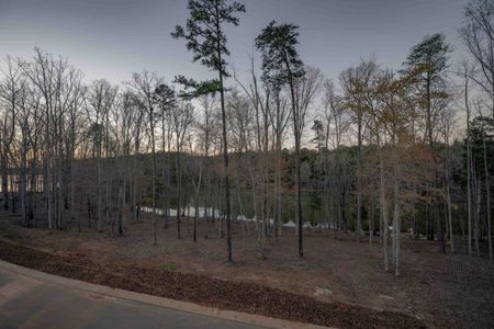 Cove at Davidson Bay by Copper Builders in Davidson - photo 29 29