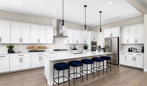The Preserve at Asante by Richmond American Homes in Surprise - photo 41 41