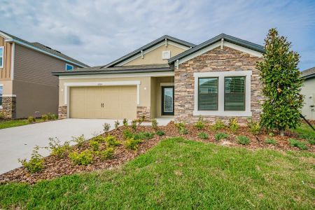 Epperson by M/I Homes in Wesley Chapel - photo 27 27