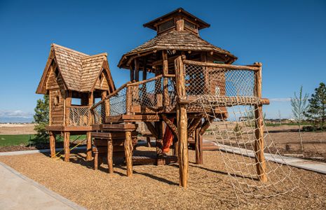 Creative play structures designed to spark children’s imagination and sense of adventure.