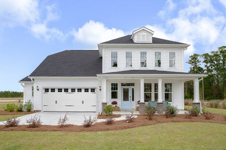 Lochton by Mungo Homes in Summerville - photo 5 5