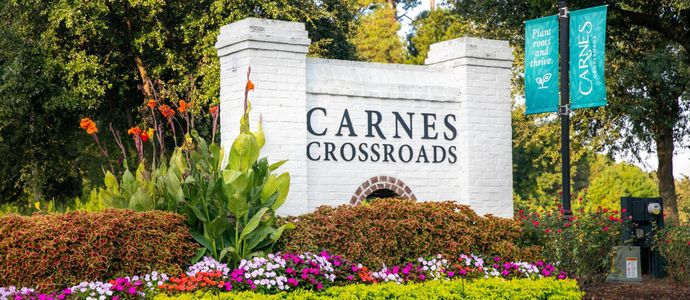 Carnes Crossroads: Row Collection by Lennar in Summerville - photo 0 0