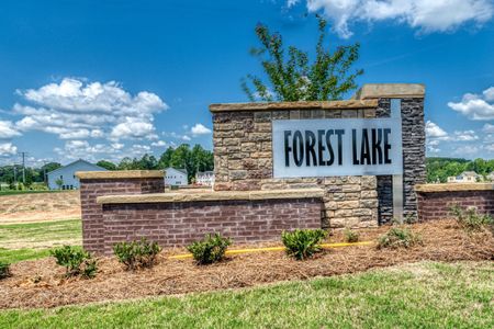 Forest Lake Townes by Tri Pointe Homes in Mooresville - photo 0 0