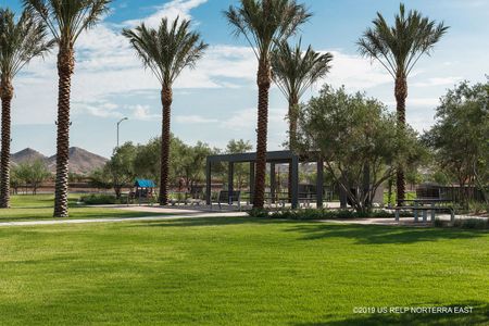 Union Park at Norterra by David Weekley Homes in Phoenix - photo 16