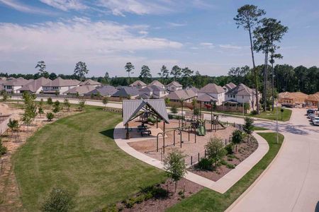 Jubilee 50′ by Tri Pointe Homes in Hockley - photo 33 33