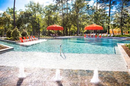 Community Lake House Pool