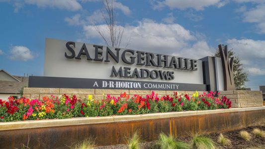 Saengerhalle Meadows by D.R. Horton in New Braunfels - photo