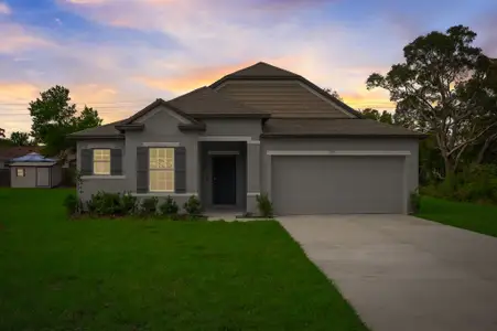 Hammock Reserve by Maronda Homes in Haines City - photo 11 11