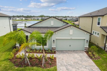 Berry Bay by M/I Homes in Wimauma - photo 42 42