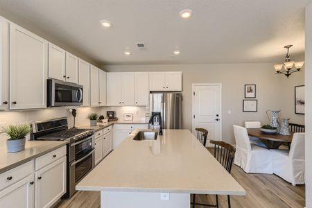 Paired Homes at Anthology North by Century Communities in Parker - photo 18 18