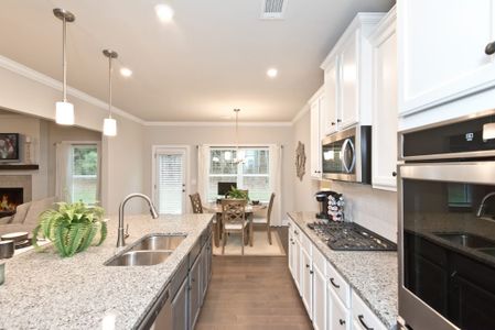 Palmer Falls by Kerley Family Homes in Douglasville - photo 31 31