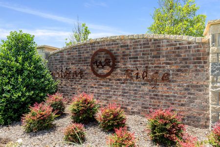 Wildcat Ridge Phase 3 by Bloomfield Homes in Godley - photo 4 4