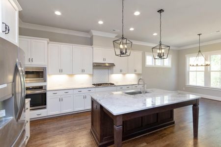 Nims Village by Evans Coghill Homes in Fort Mill - photo 5 5