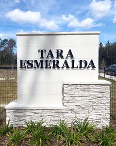 Tara Esmeralda by D.R. Horton in Newberry - photo 1