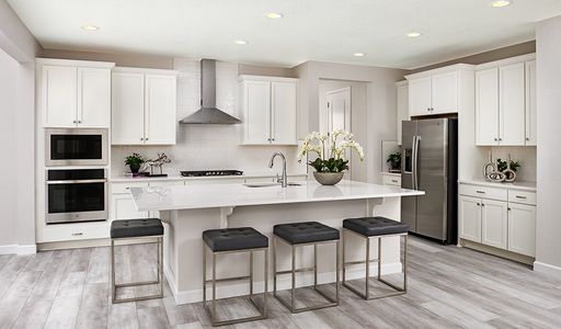 Sierra at Ascent Village by Richmond American Homes in Littleton - photo 26 26