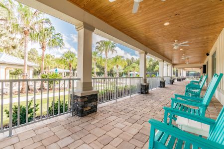 K-Bar Ranch Gilded Woods by M/I Homes in Tampa - photo 10 10