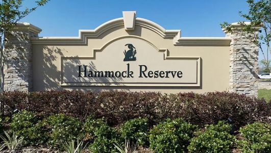 Hammock Reserve by Casa Fresca Homes in Haines City - photo 5 5
