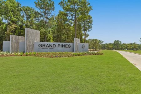Grand Pines by D.R. Horton in Magnolia - photo 0 0