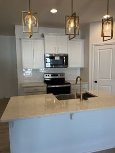 The Landings at Catawba River by True Homes in Charlotte - photo 6 6