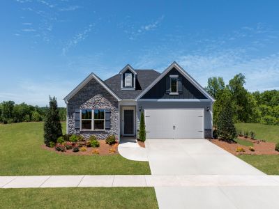 Solena at the Vineyards II by Meritage Homes in Charlotte - photo 11