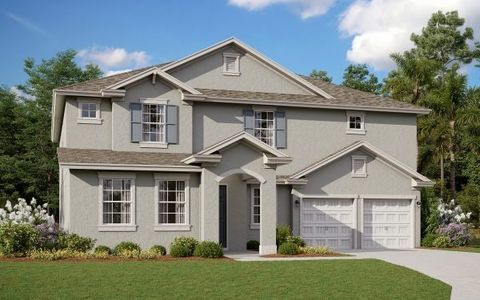 Hills of Minneola by Dream Finders Homes in Clermont - photo 16 16